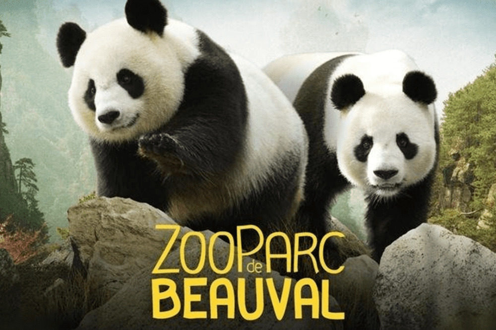 ZOO BEAUVAL