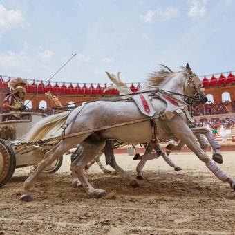 chevaux puy du fou