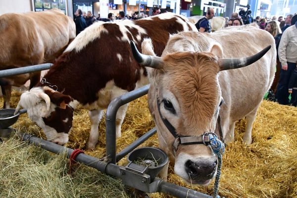 Salon international de l'agriculture de Paris