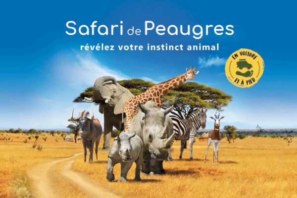 Affiche Safari de Peaugres