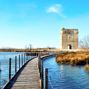La Tour Carbonnière en Petite Camargue. Saint-Laurent-d'Aigouze