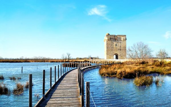 La Tour Carbonnière en Petite Camargue. Saint-Laurent-d'Aigouze